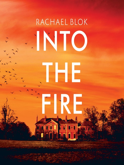 Cover image for Into the Fire